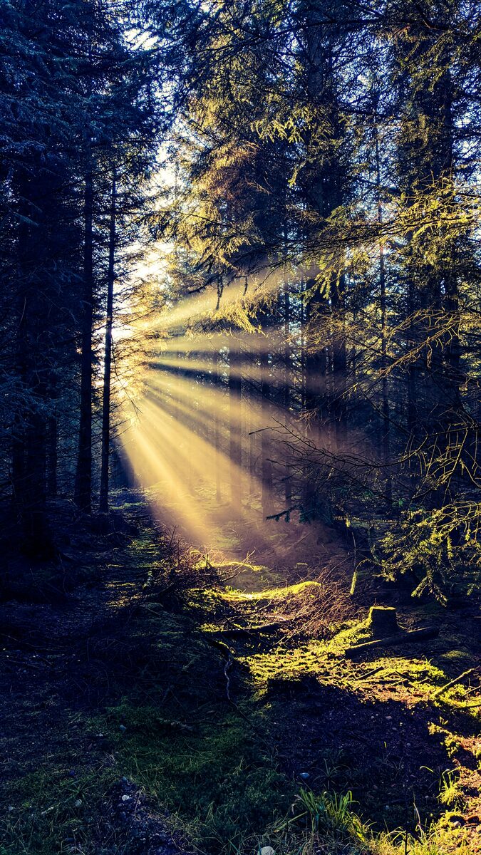 Déblocage traumatismes EMDR Vitré